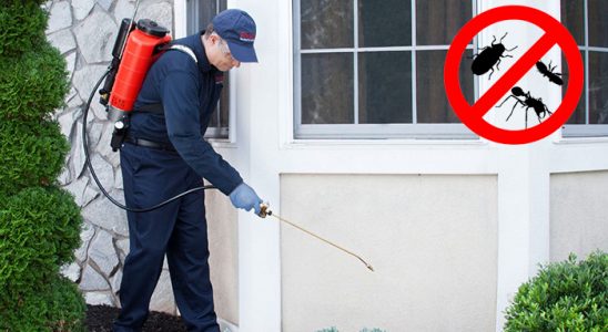 Gümüşhacıköy Hamam Böceği İlaçlama böcek ilaçlama ve haşere kontrolü — ilaclama-tr.com